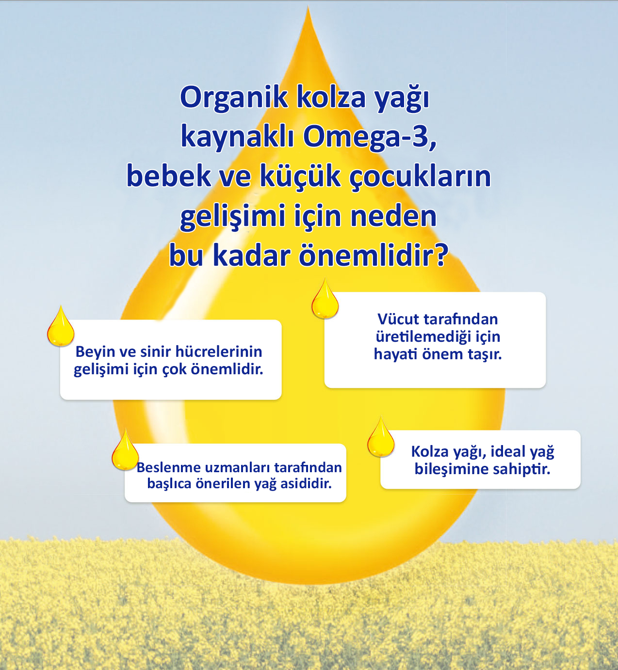 Omega 3 Nedir Kaynakları Nelerdir Omega 3 Nedir Kaynakları Nelerdir